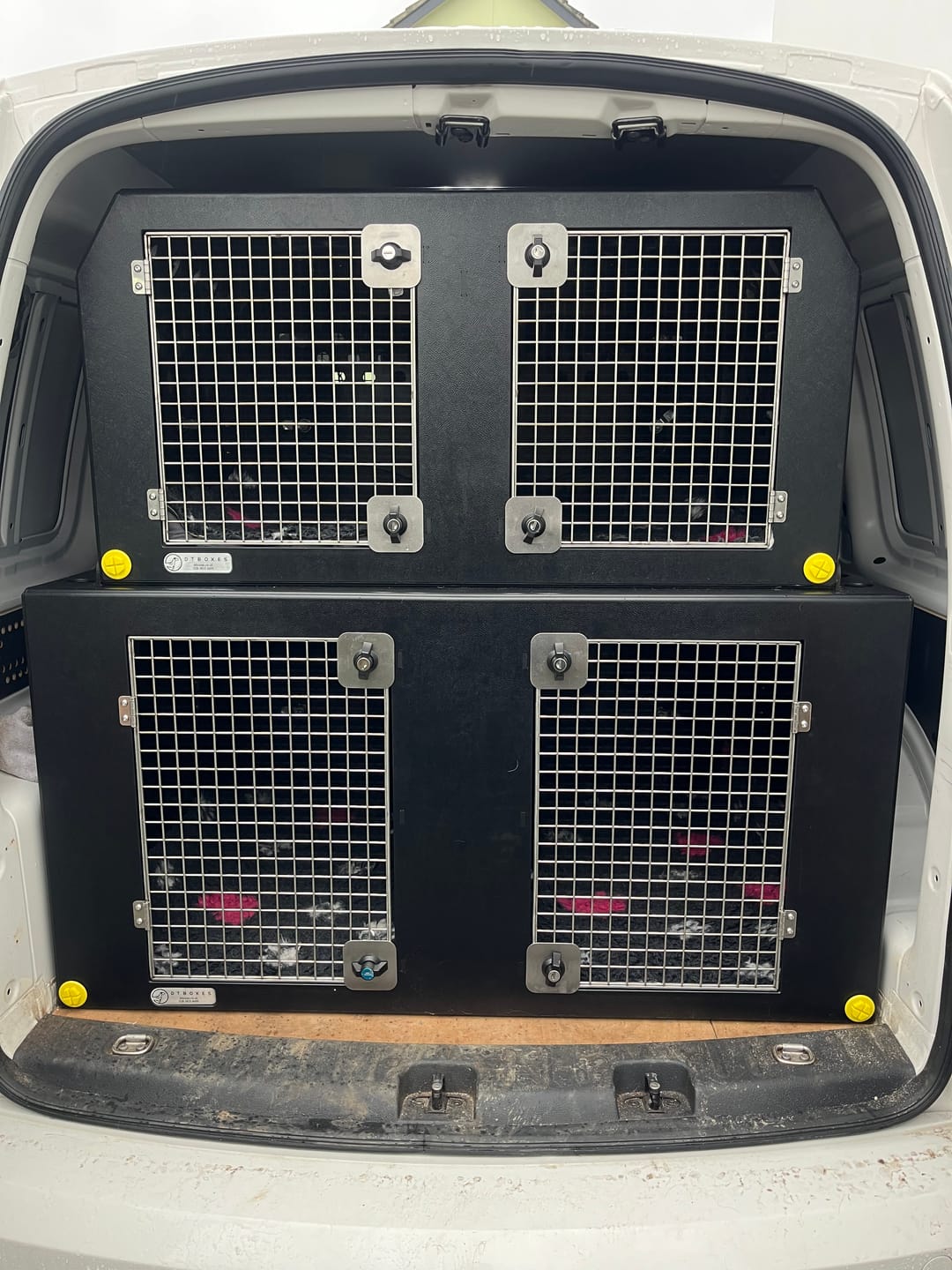 Customer photo review of Dog Van Kit | VW Caddy | 2013-Present | Double stack | DT VS1