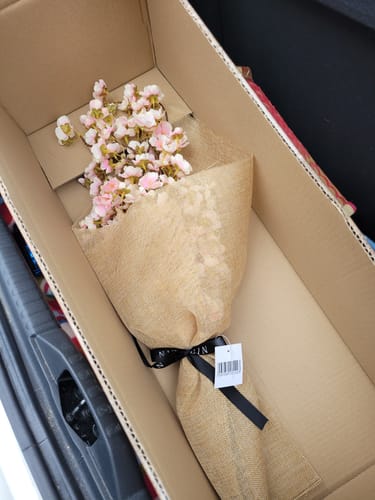 Customer photo review of Fleur de Sakura - Vieux rose (3 tiges)