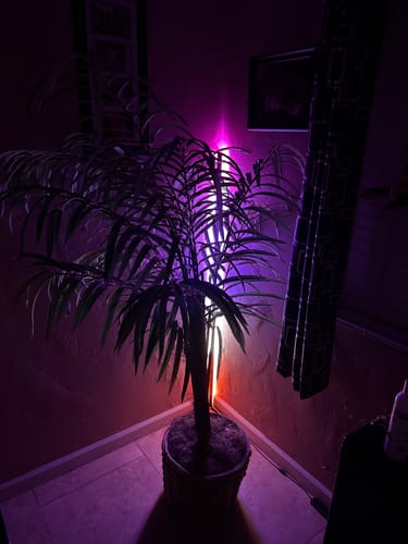 Customer photo review of LITE TOWER - MODERN STYLED LED CORNER LAMP