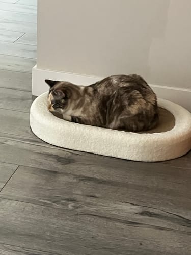 Customer photo review of ScratchLounge