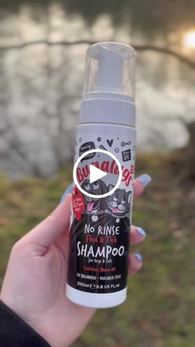 Customer video review of Flea & Tick No Rinse Shampoo for Dogs & Cats