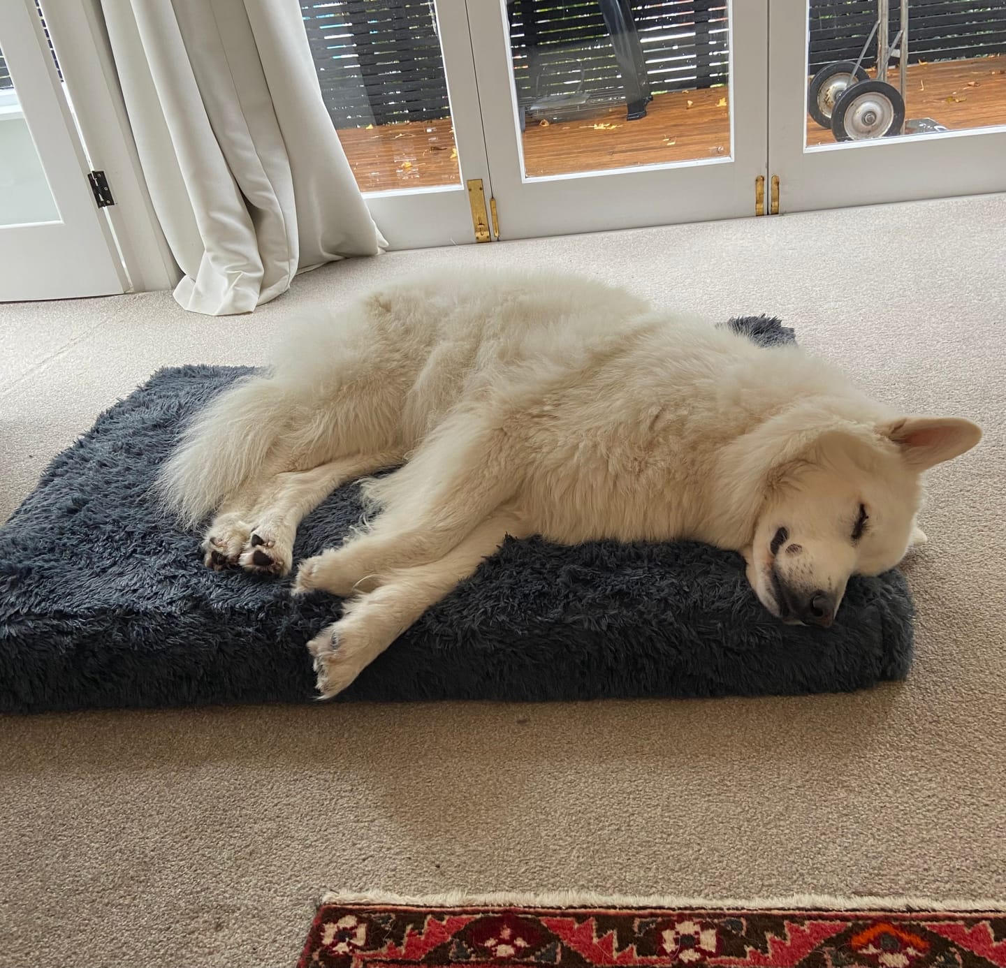 Customer photo review of Brooklyn® Ultra Memory Foam Bed
