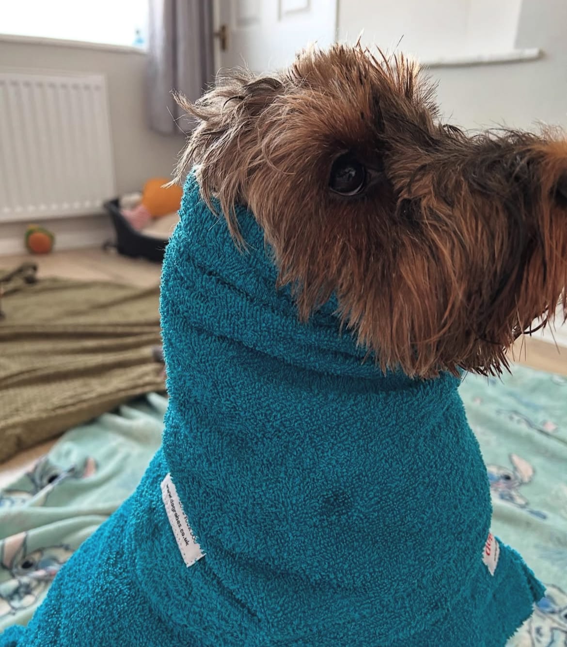 Customer photo review of Dogrobe Snood