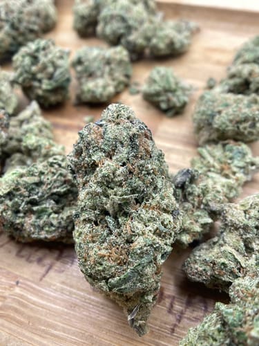Customer photo review of Candy Gelato