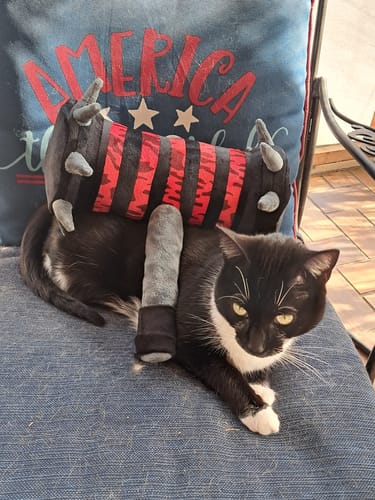 Customer photo review of Flee The Facility - Bone Crusher Hammer Plushie