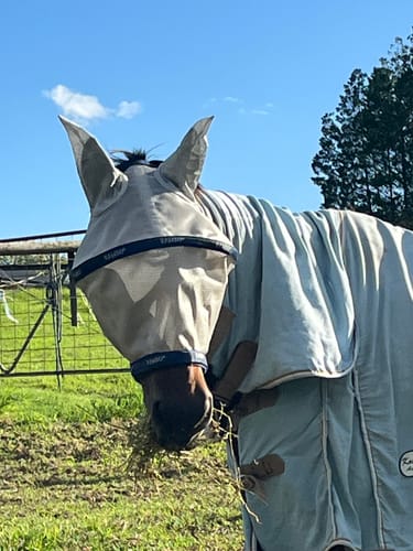 Customer photo review of Mio Flymask