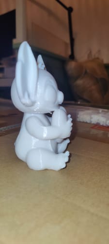 Customer photo review of Anycubic Kobra S1 Combo