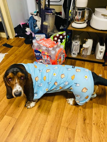 Customer photo review of Dog Pajama Prints