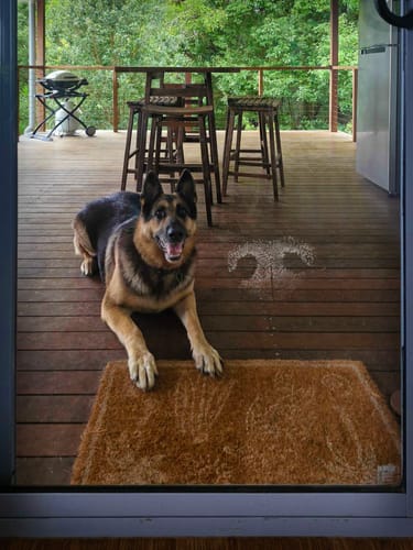 Customer photo review of GLASSGUARD® Glass Restoration Stain Remover Diamond Edition