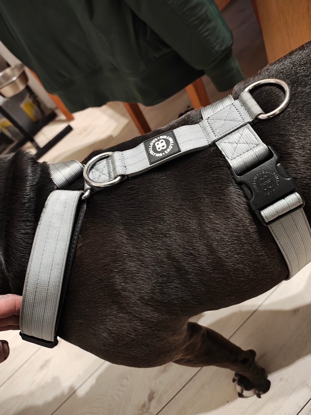 Customer photo review of Training Anti Pull TRI-Harness® | M-XL Breeds - Metal Grey