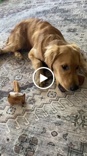 Customer video review of Smoked Beef Marrow Bone