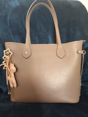 Customer photo review of The Sophie Tote Bag