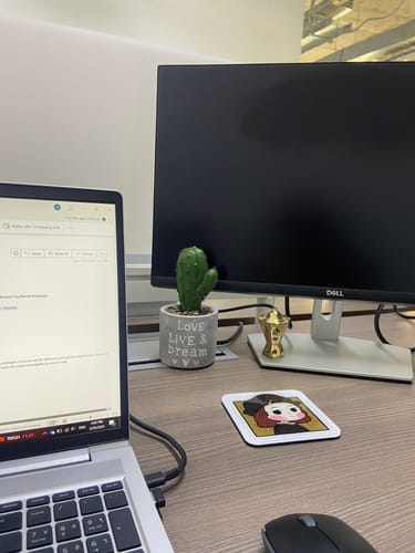 Customer photo review of Reboot Greenery Pot- Baby Cactus