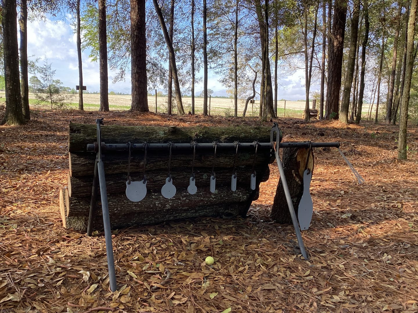 Customer photo review of AR500 Hanging Gongs