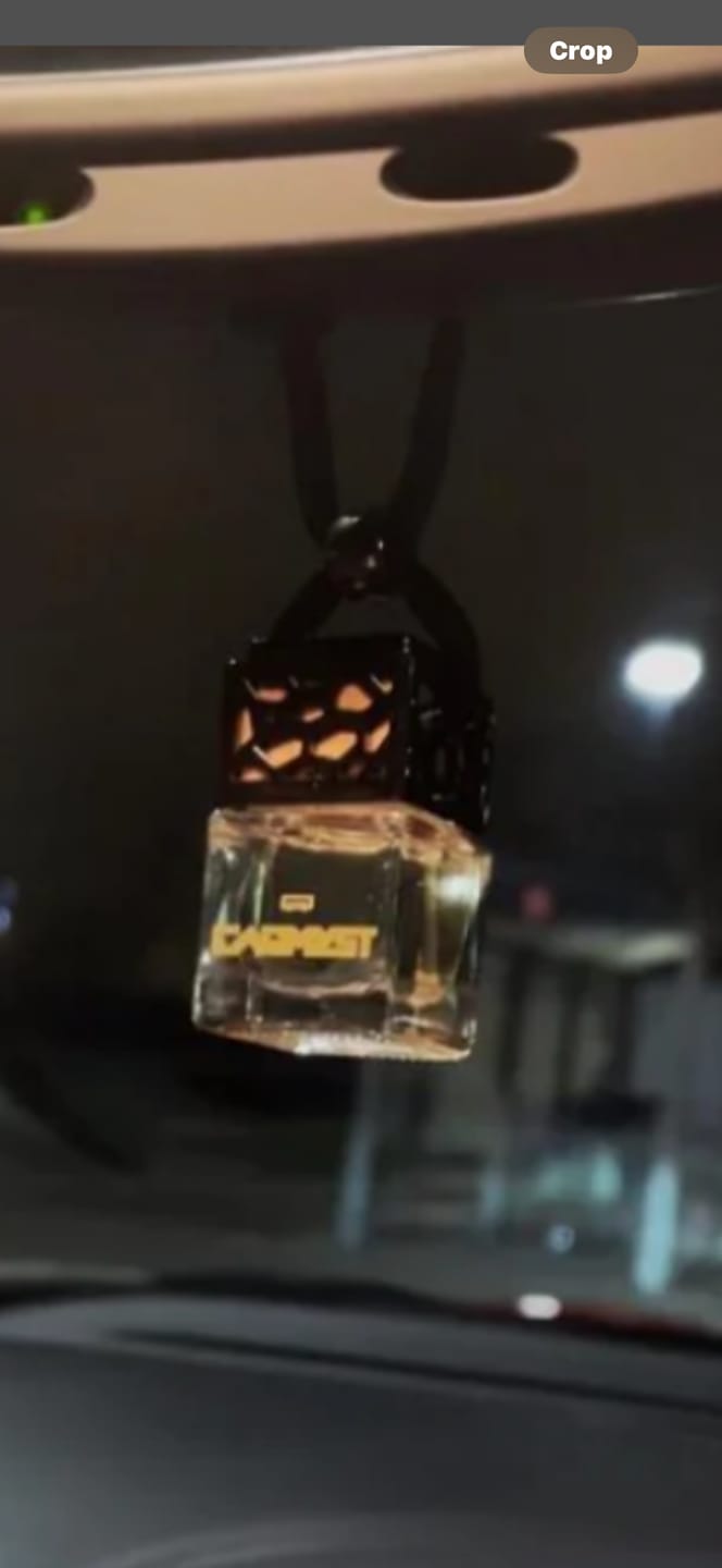 Customer photo review of C. Aventos Cologne - Premium Car Diffusers