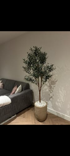 Customer photo review of Kunst Olijfboom 180cm