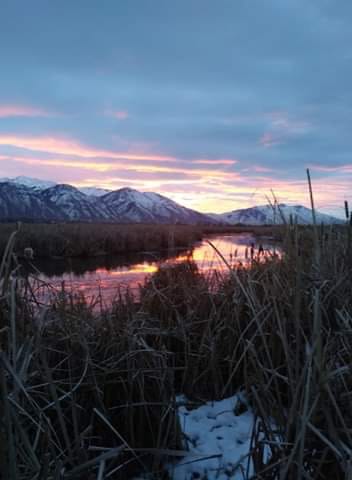 Customer photo review of TorridWade Heated Duck Waterfowl Hunting Breathable Chest Waders