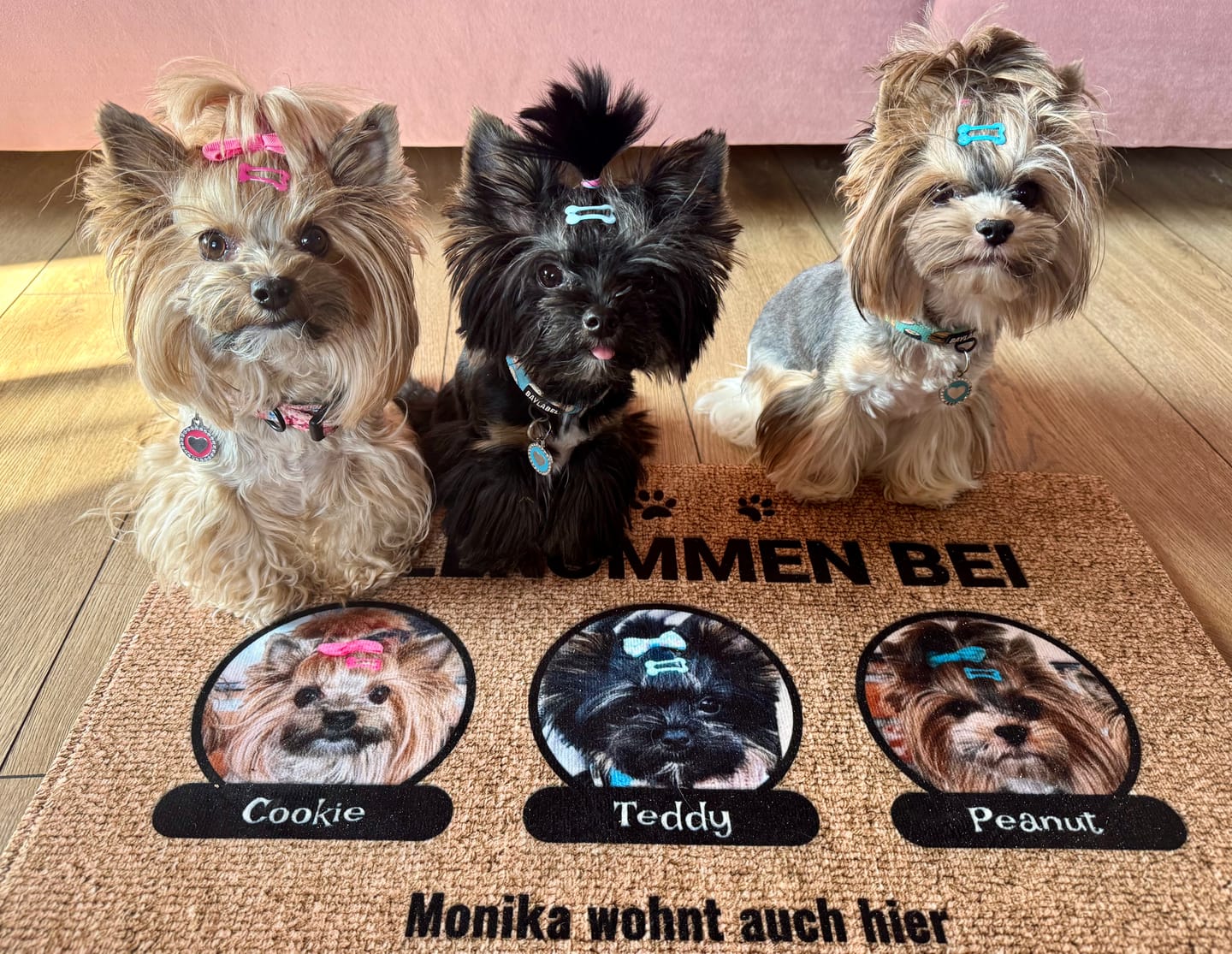 Customer photo review of Foto mit Namensschild - Individuelle Fußmatte