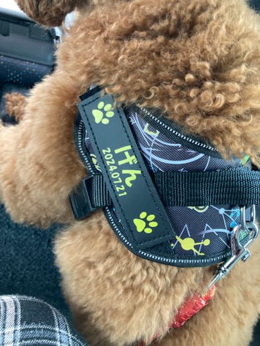 Customer photo review of FunFunPet 高機能ハーネス（お名前タグ作成サービス付き）