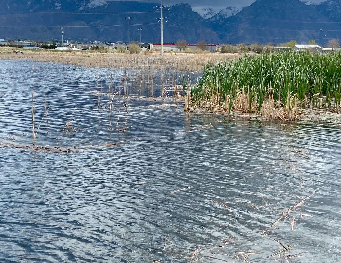 Customer photo review of TorridWade Heated Duck Waterfowl Hunting Breathable Chest Waders