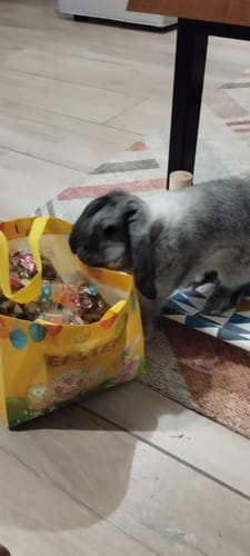 Customer photo review of (Prévente) La Box de Pâques 400g – Une Chasse aux Gourmandises