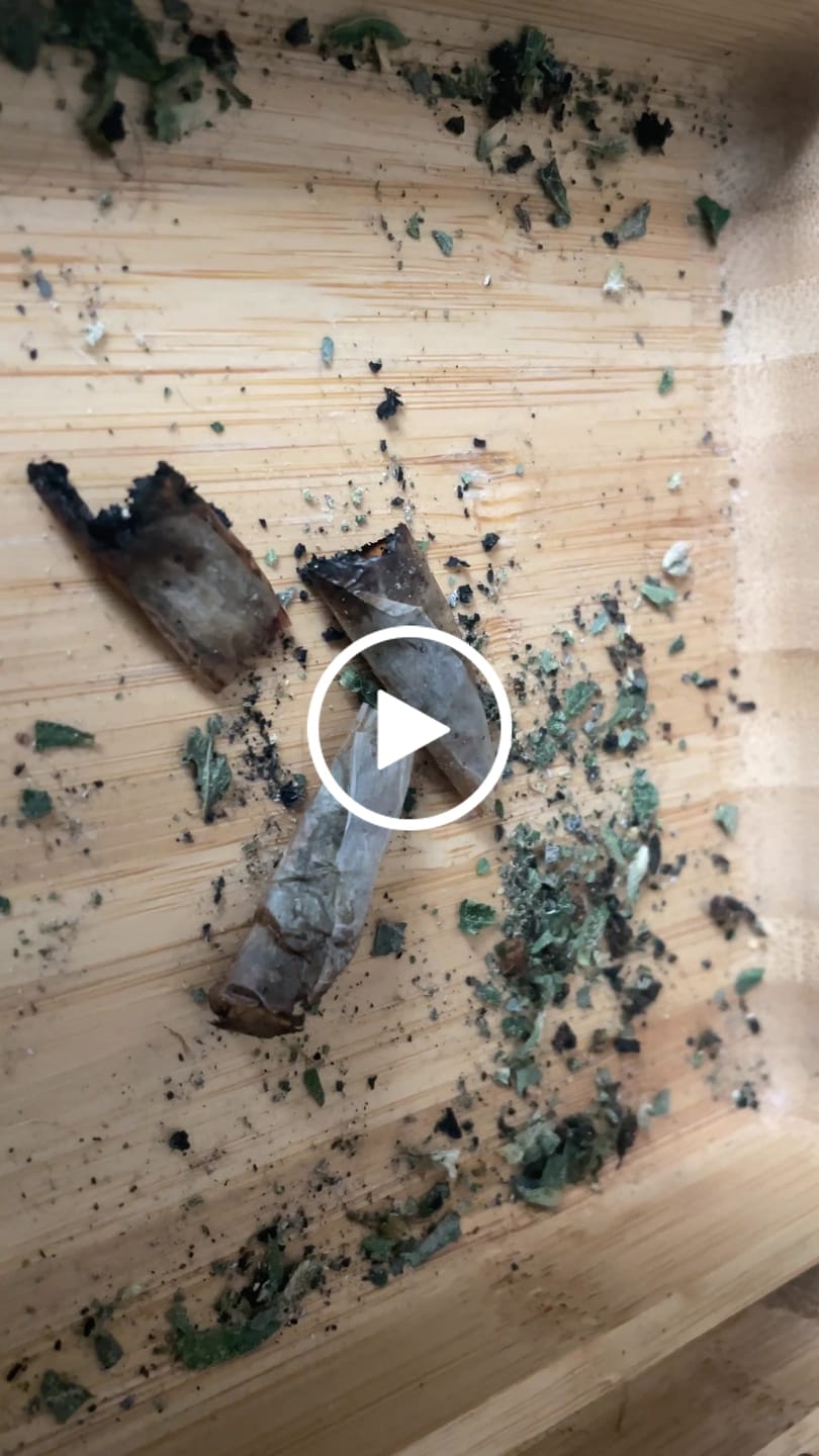 Customer video review of Exotic THCa Shake