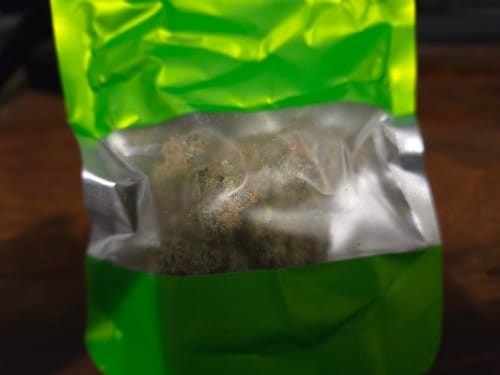 Customer photo review of Tropic Thunder