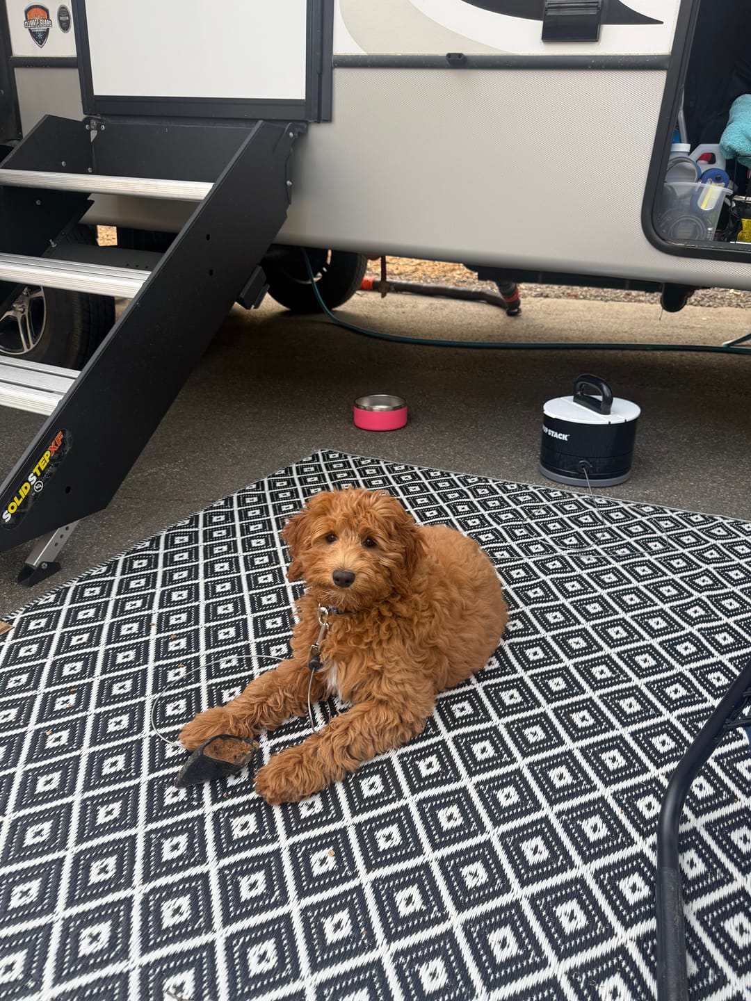 Customer photo review of Pup Stack