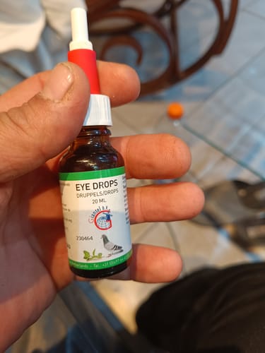 Customer photo review of Eye Drops 20ml (desinfectie van ogen en neusgaten) - Giantel