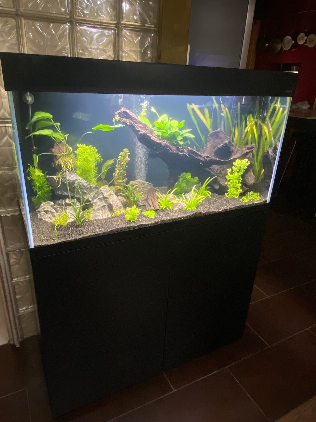 Customer photo review of Aquarium Opti Set 200 Noir AQUAEL - 200L