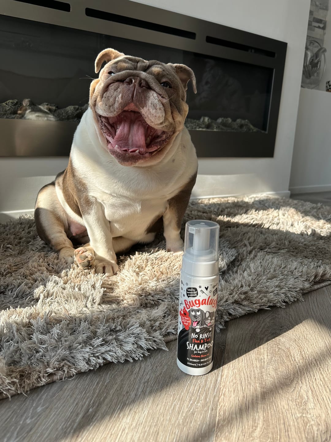 Customer photo review of Flea & Tick No Rinse Shampoo for Dogs & Cats