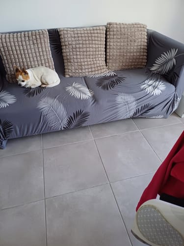Customer photo review of Gris Exotic - Housse de Canapé Extensible