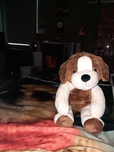 Customer photo review of Lotgenootje Beer 2kg