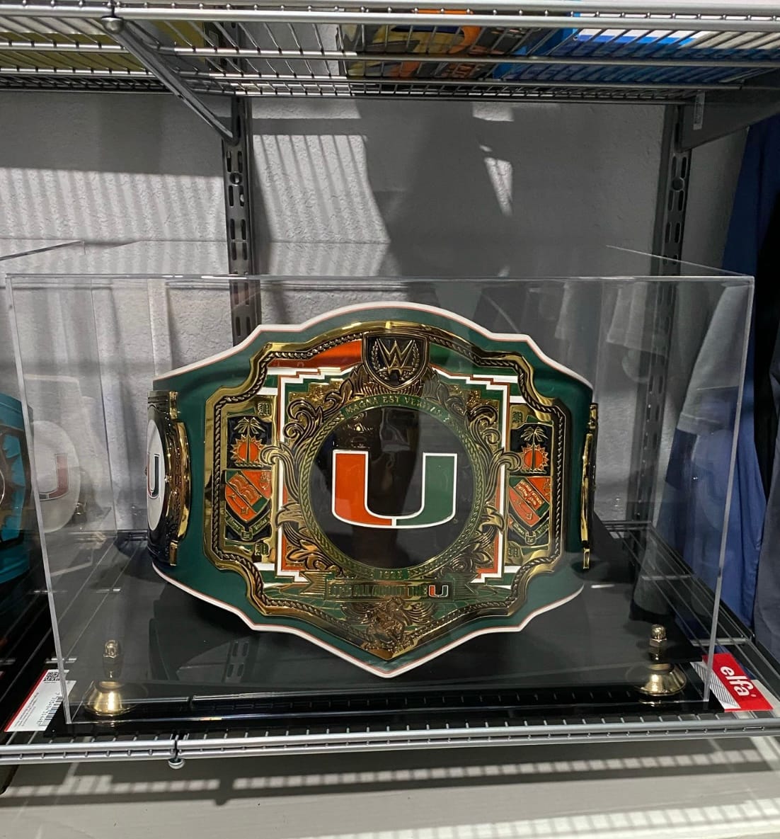 Customer photo review of Clear Acrylic Wrestling Belt Display Case (A014)