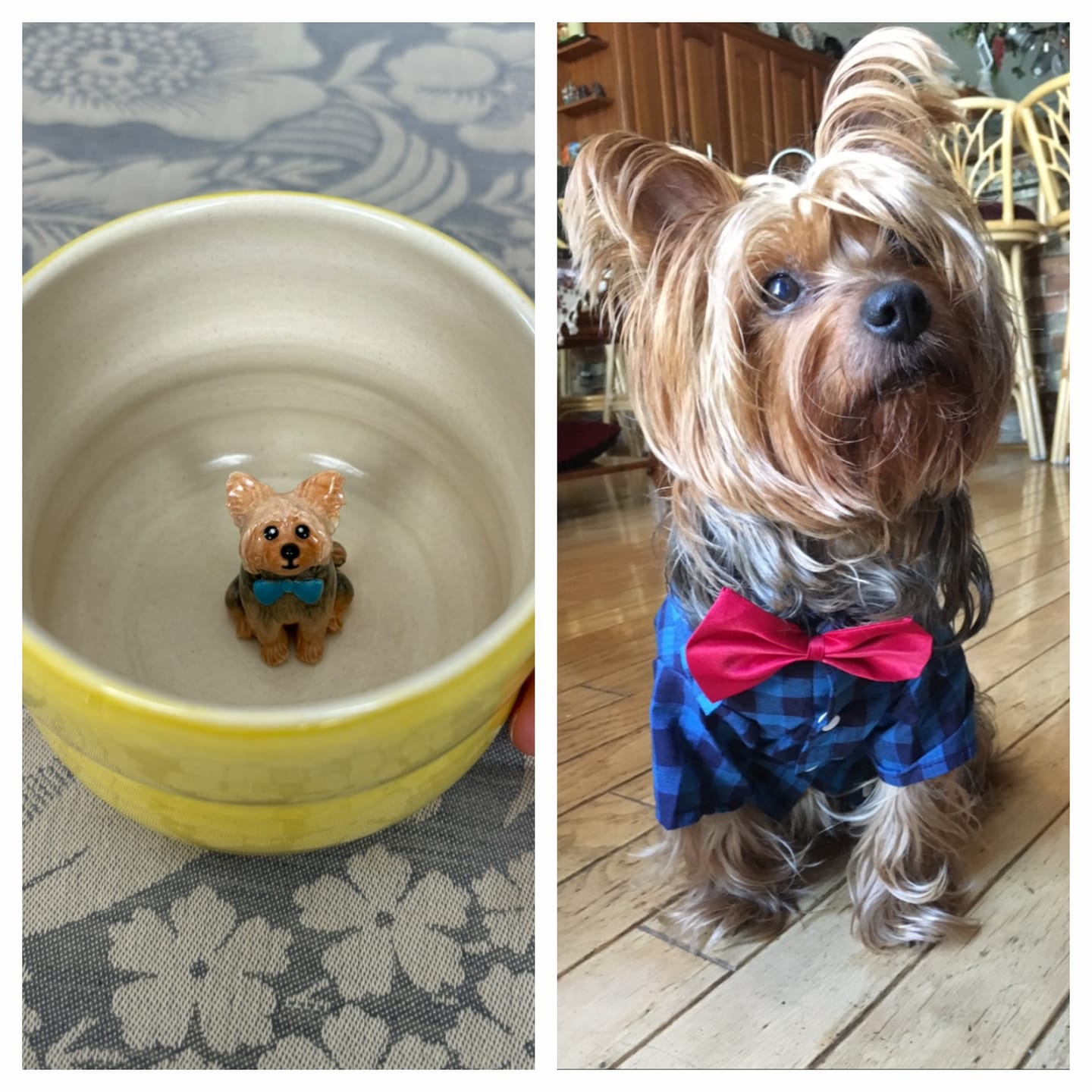 Customer photo review of Handmade Custom Pet's Figure Ceramic Mug