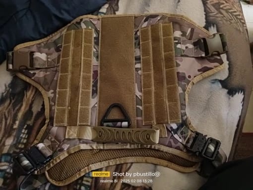 Customer photo review of Military Large Dog Tactical Harness Training Pet Vest