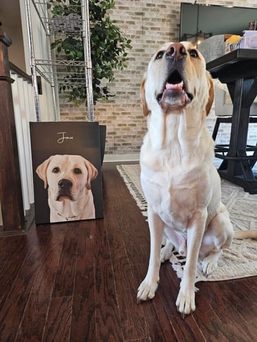 Customer photo review of Pet Art Canvas Wrap