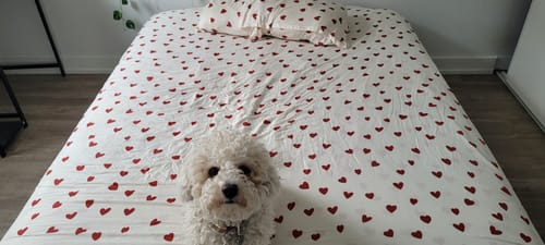 Customer photo review of Love Heart Bedding Set