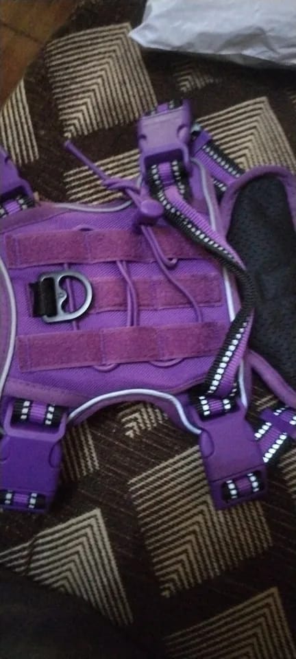 Customer photo review of Tactical Adjustable Breathable Dog Harness for Medium Large Dog