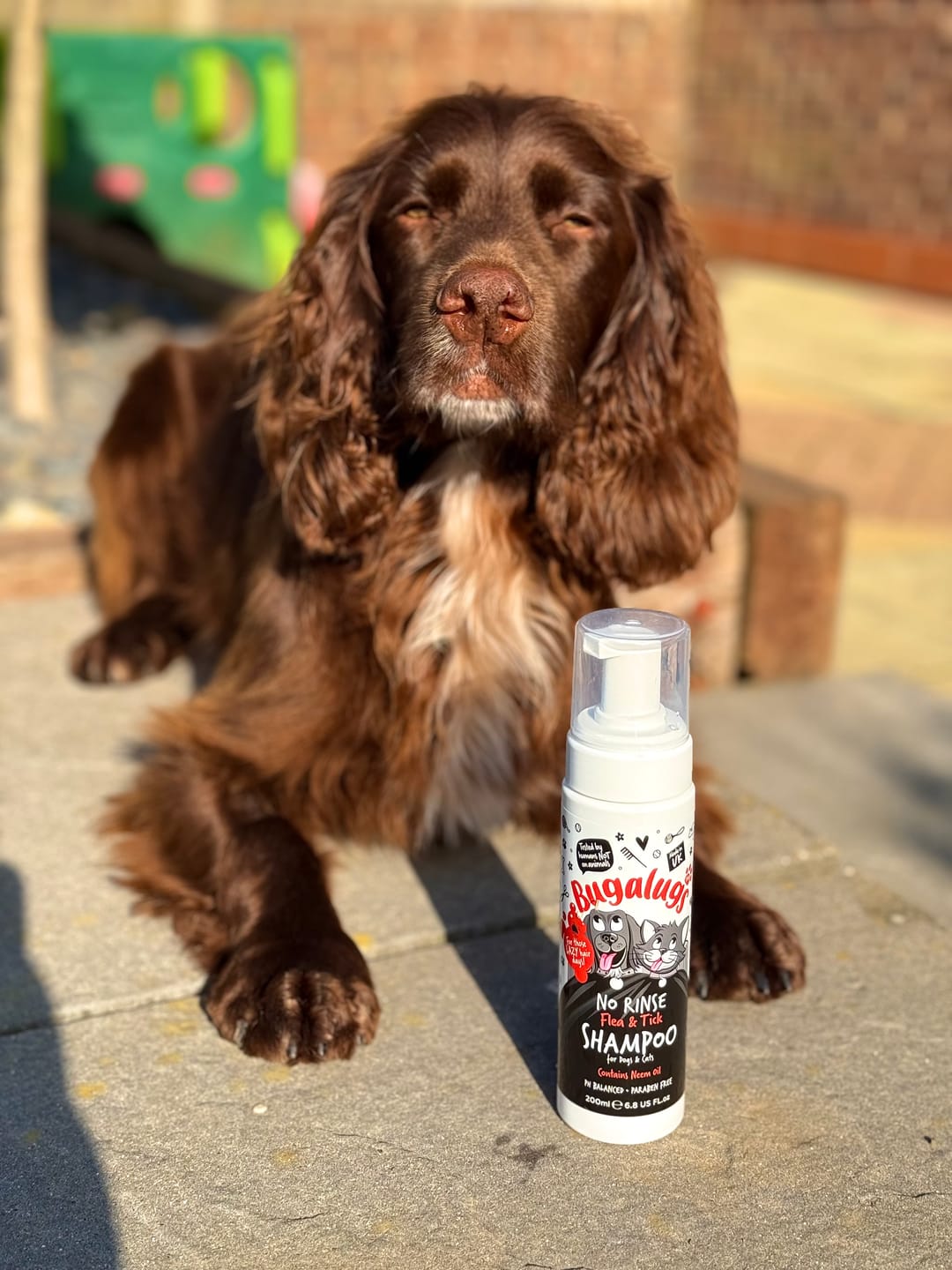 Customer photo review of Flea & Tick No Rinse Shampoo for Dogs & Cats