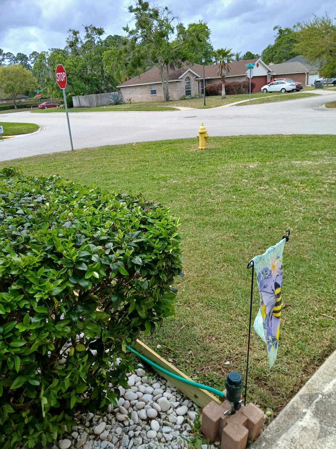 Customer photo review of Worm Castings