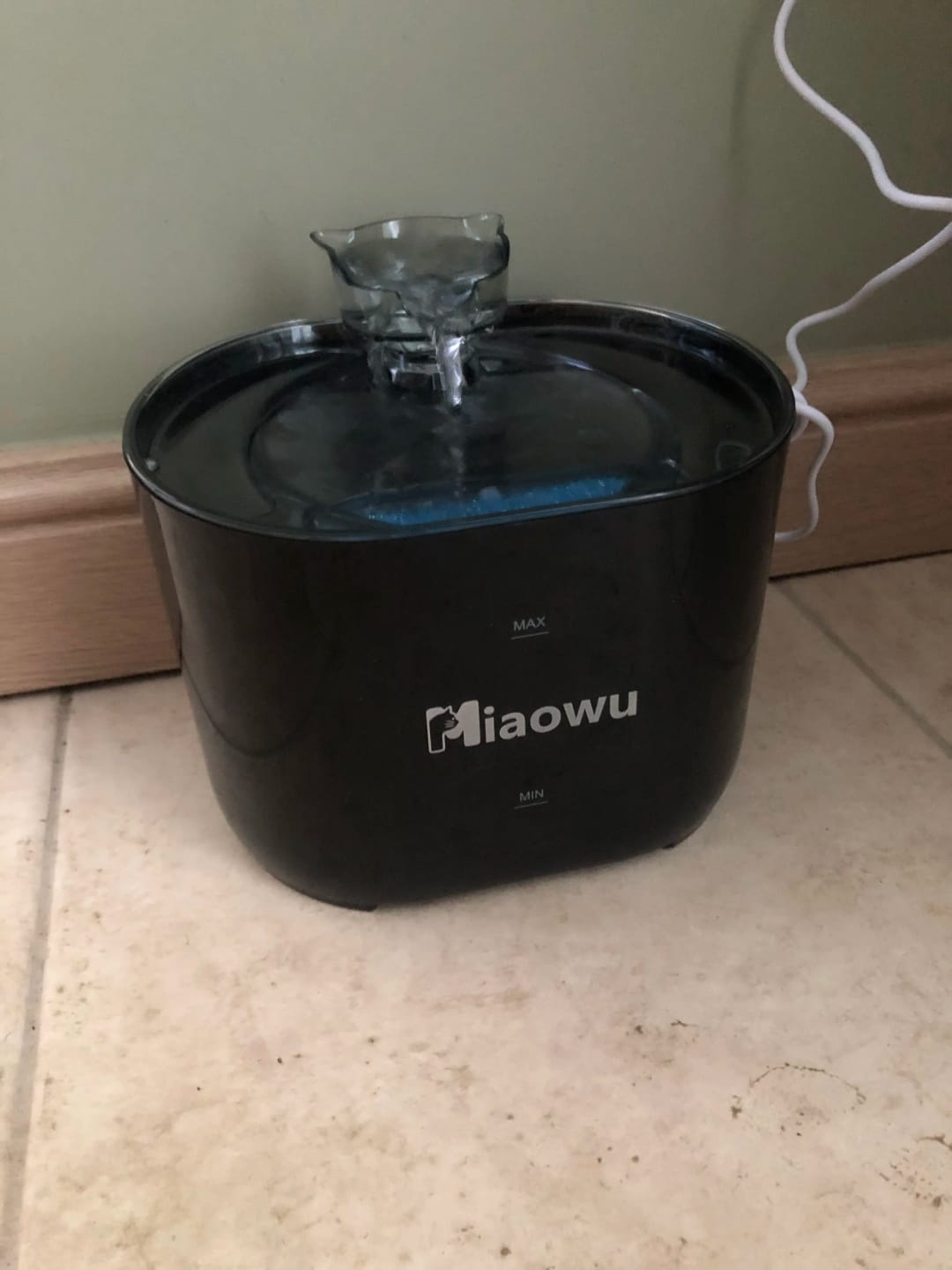 Customer photo review of Automatic Cat Water Fountain – Oxygenated Filtration System, Dual Flow Modes, Fully Washable Tank for Fresh & Clean Drinking Water