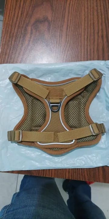 Customer photo review of Outdoor Training Tactical Dog Harness for Small Dogs