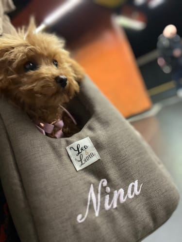 Customer photo review of Ricamo (NON RIMUOVERE)