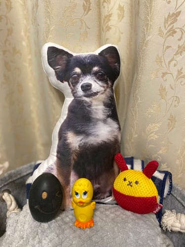 Customer photo review of 本物そっくり♪オーダーメイドクッション