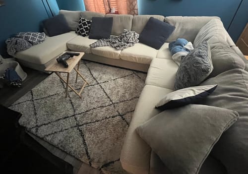 Customer photo review of Fleece Couch Skin