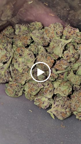 Customer video review of Gorilla Glue Greenhouse THCA