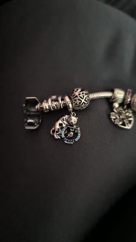 E. A. review of 925 Sterling Silver Cat and Fish Bowl Charm image 1 out of 1