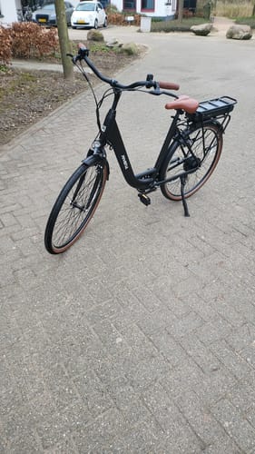 Customer photo review of Daily D7