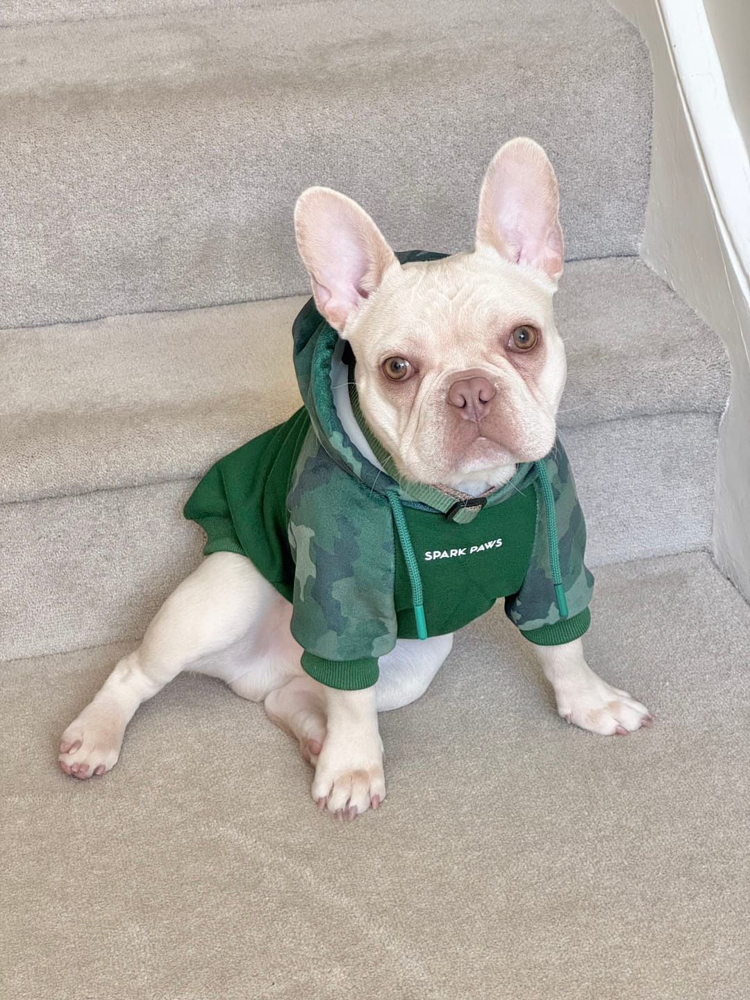 Customer photo review of Camo Human Hoodies